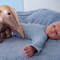 IMG 571